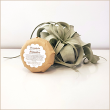 Load image into Gallery viewer, Absolve | Rosehip Cleansing Bar