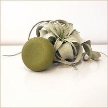 Load image into Gallery viewer, Absolve | Moringa Cleansing Bar