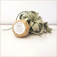 Load image into Gallery viewer, Absolve | Moringa Cleansing Bar
