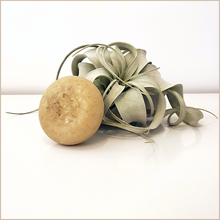 Load image into Gallery viewer, Glissade | Shaving Cream Bar