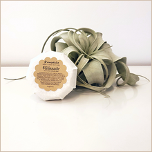 Load image into Gallery viewer, Glissade | Shaving Cream Bar