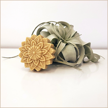 Load image into Gallery viewer, Slake | Hydrating Shampoo Bar