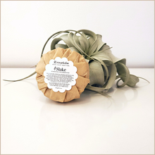Load image into Gallery viewer, Slake | Hydrating Shampoo Bar