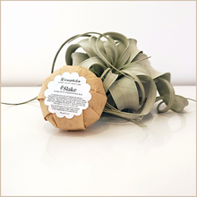 Load image into Gallery viewer, Slake | Hydrating Conditioner Bar