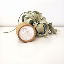 Load image into Gallery viewer, Plush | Satin Cream Moisturizer