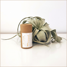 Load image into Gallery viewer, Parasol | Shielding Mineral Primer