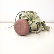 Load image into Gallery viewer, Absolve | Rose Petal Cleansing Bar