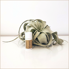 Load image into Gallery viewer, Expunge | Restoring Spot Treatment