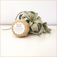 Load image into Gallery viewer, Absolve | Rose Petal Cleansing Bar