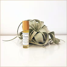 Load image into Gallery viewer, Aurise | Jasmine Sandalwood Attar Oil