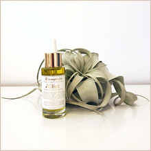 Load image into Gallery viewer, Glint | Hydrating Hair Oil