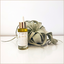 Load image into Gallery viewer, Vivify | Fortifying Prewash Scalp Oil