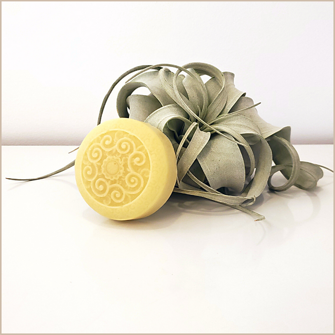 Slake | Hydrating Conditioner Bar